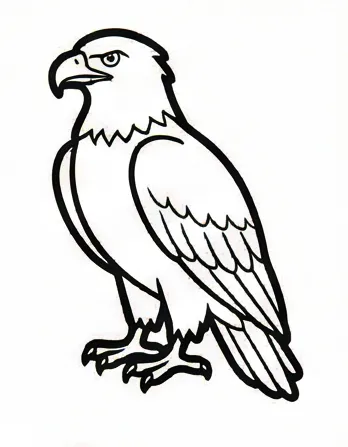 how to draw a bird.webp